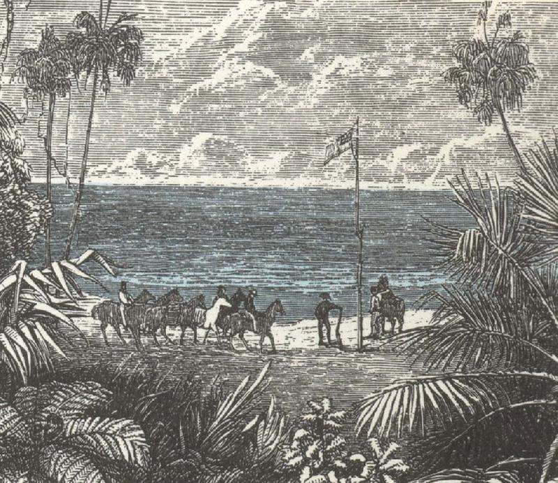 william r clark john mcdouall stuart hissar brittiska flaggan vid van diemensbukten nara den nuvarande staden darwin dit han kom efter att ha genom korsat kontinenten china oil painting image